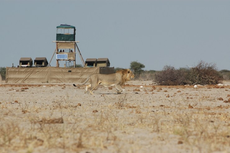 Game Capture Netting 001