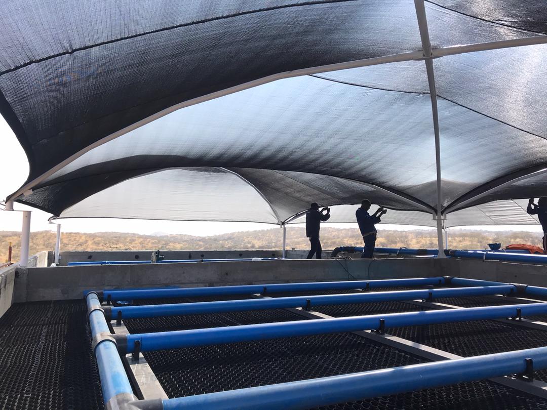 WhatsApp Image 2020-08-26 at 11.27.28 (1)